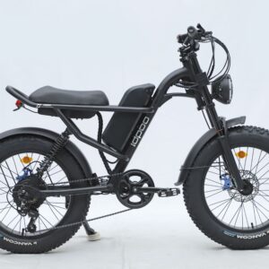 Ebike,750W Motor,48V15.6Ah Battery,20 Inches,Maximum Speed 45KM