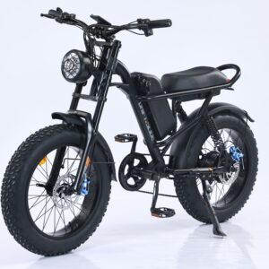 EMB009 New Design 750W Mountain Electric Bicycle Out Door With Fat Tire 20''Ebike