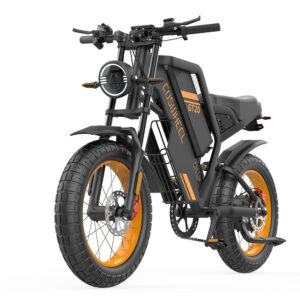 Off-road e-bike Equipped with super motor 1000W 48V25AH lithium battery 20"*4.0 fat tires Specially suitable for touring, sand, snow, mountains and other adventurous places.