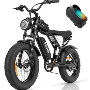 Electric Bike Ridstar Q20 MINI Speed 50km/h 1000W 48V15AH