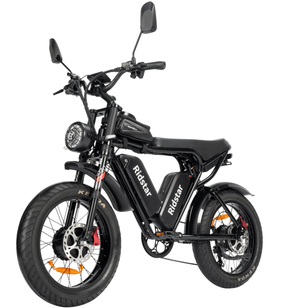 Dual Motor E-bike 2000W 52V 40Ah Fat Tire E-bike