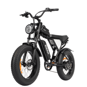 Off-road Electric Bike 1000W 20ah Black